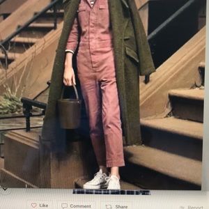 Madewell coveralls. Dried rosebud color.